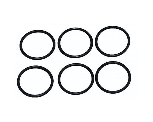 Carburetor Insert O-Ring (6pc)