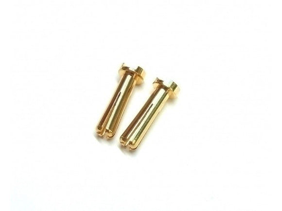 Team Powers 5mm Bullet Connector (Pair)